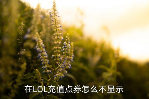 英雄联盟手游怎么不显示充钱，在LOL充值点券怎么不显示