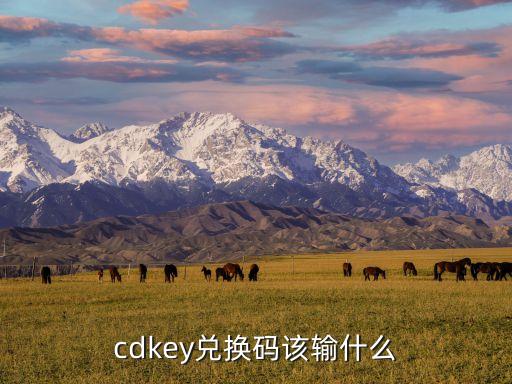 cdkey兑换码该输什么