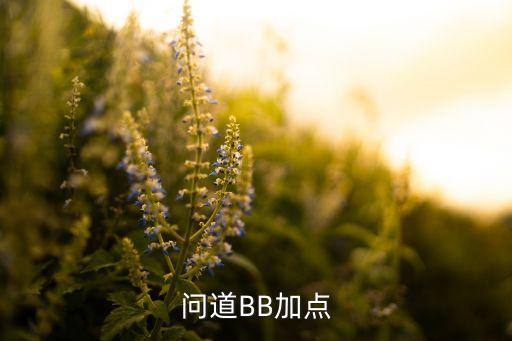 问道手游宠物法宝怎么加点，问道法宠怎么加点最好