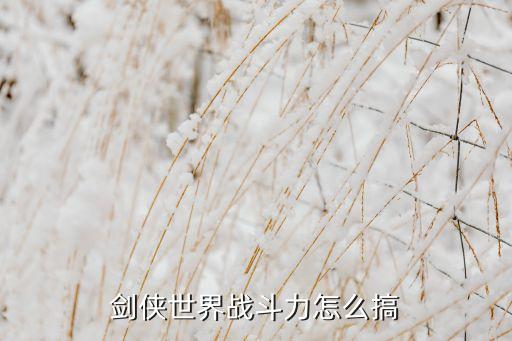 剑侠世界3手游怎么加攻击力，剑侠世界这个游戏要如何才能使自己攻击力上升啊我跟别人同样的
