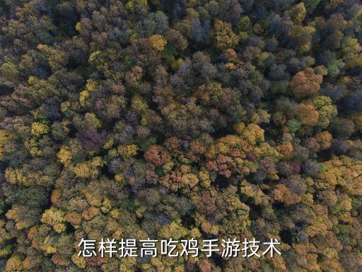 怎样提高吃鸡手游技术