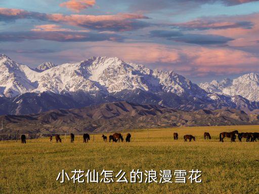 小花仙怎么的浪漫雪花