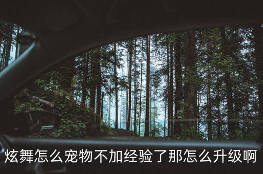 炫舞怎么宠物不加经验了那怎么升级啊