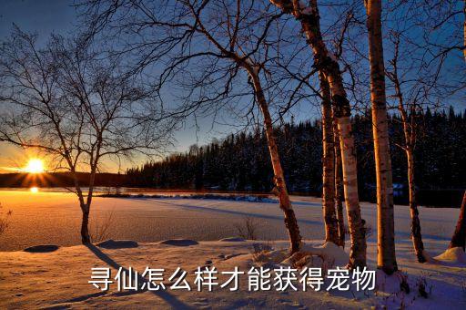 寻仙怎么样才能获得宠物