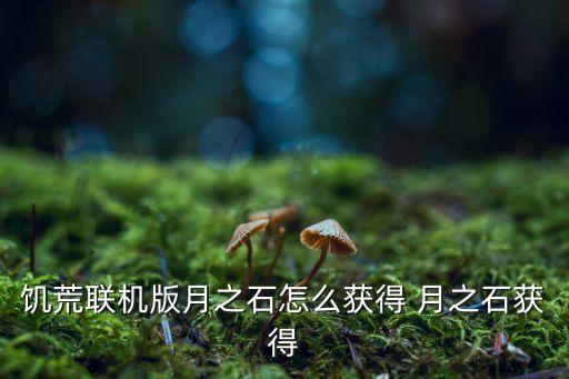 饥荒联机版月之石怎么获得 月之石获得