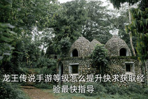 龙王传说手游等级怎么提升快求获取经验最快指导