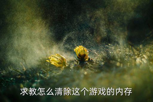 求教怎么清除这个游戏的内存