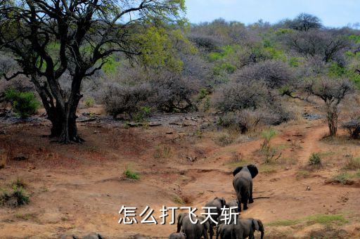 怎么打飞天斩