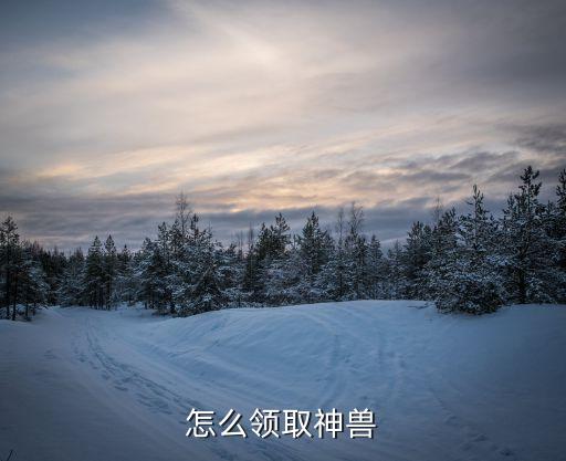 怎么领取神兽