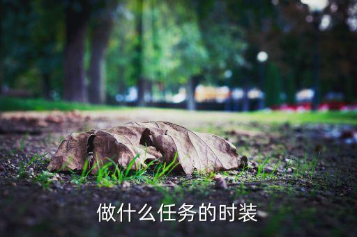 做什么任务的时装