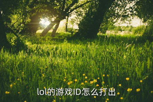 lol手游id怎么放出来，lol的游戏ID怎么打出