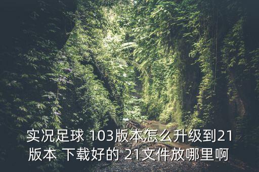 实况足球 103版本怎么升级到21版本 下载好的 21文件放哪里啊