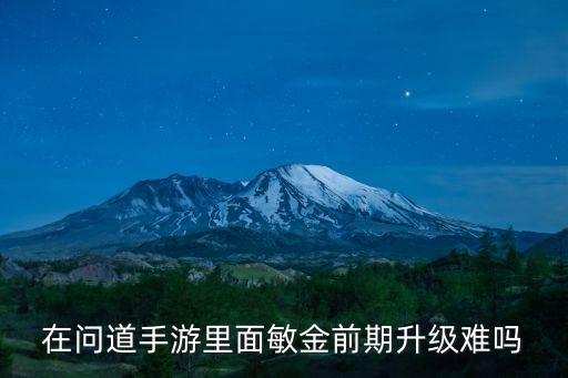 问道手游前期敏金怎么加的，问道敏金怎么加相性点
