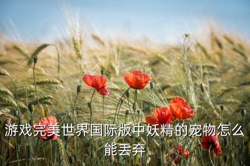 游戏完美世界国际版中妖精的宠物怎么能丢弃