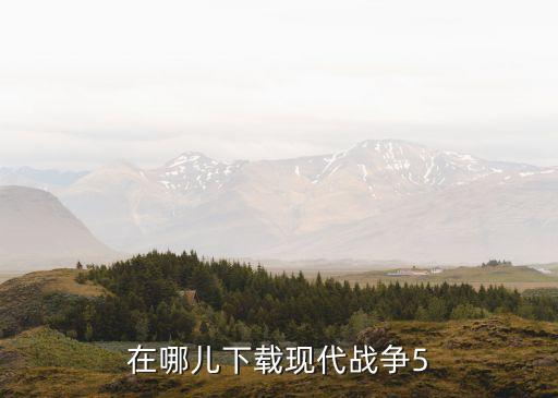 在哪儿下载现代战争5