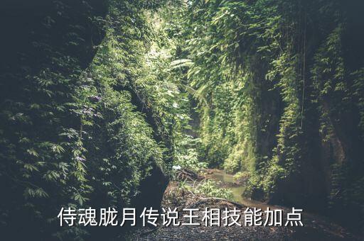 侍魂胧月传说王相技能加点