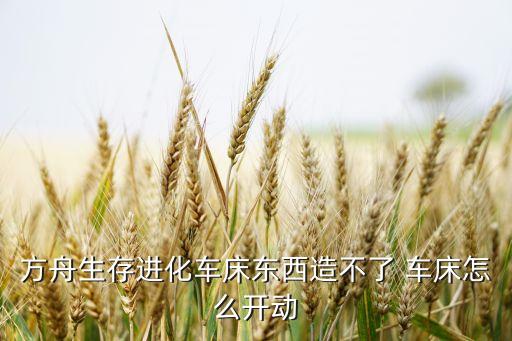 方舟生存进化车床东西造不了 车床怎么开动