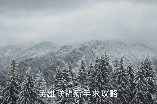 英雄联盟新手求攻略