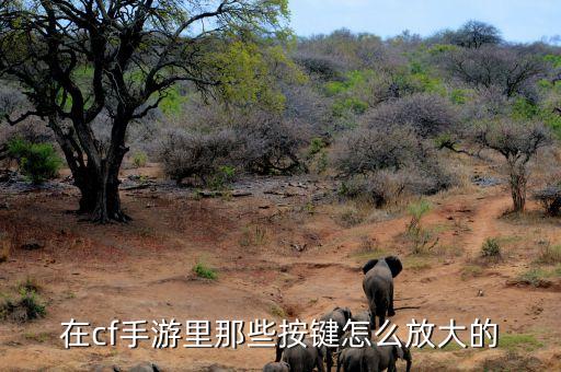 在cf手游里那些按键怎么放大的