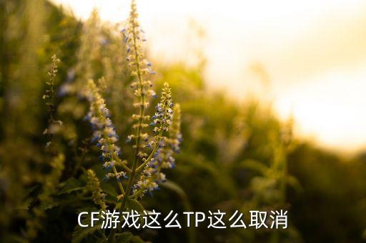 cf手游怎么关闭手搓陀螺仪，CF游戏这么TP这么取消