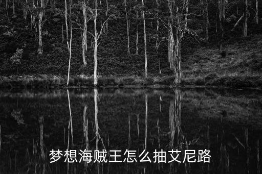 梦想海贼王怎么抽艾尼路