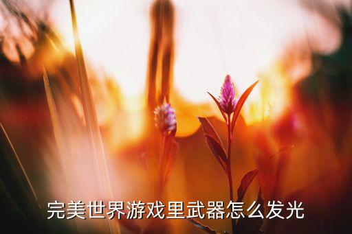 完美世界游戏里武器怎么发光