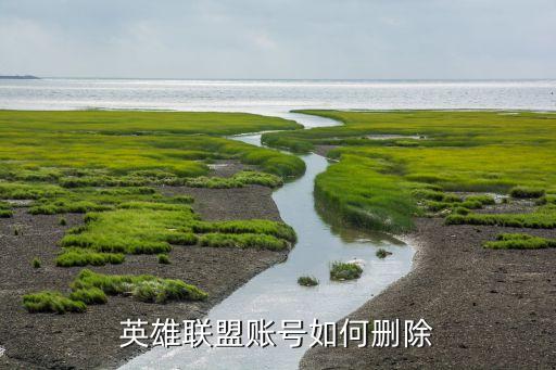 英雄联盟账号如何删除