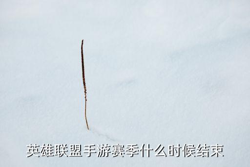 英雄联盟手游赛季什么时候结束