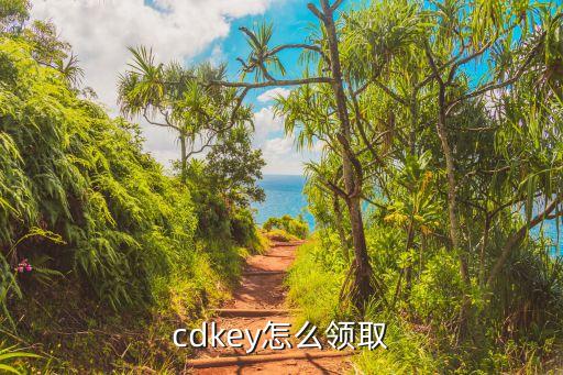 cdkey怎么领取