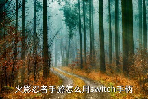 火影忍者手游怎么用switch手柄