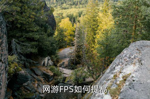 网游FPS如何提高