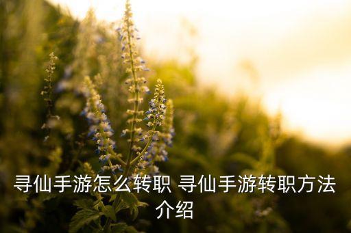 寻仙手游怎么转职 寻仙手游转职方法介绍