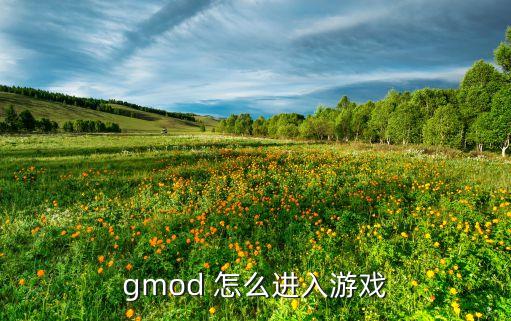 gmod 怎么进入游戏