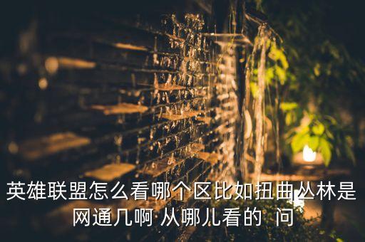 英雄联盟怎么看哪个区比如扭曲丛林是网通几啊 从哪儿看的  问