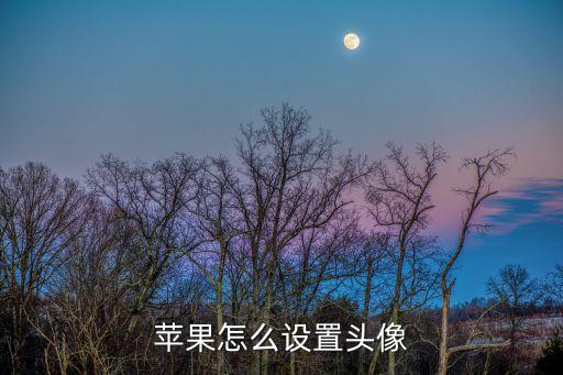 苹果怎么设置头像