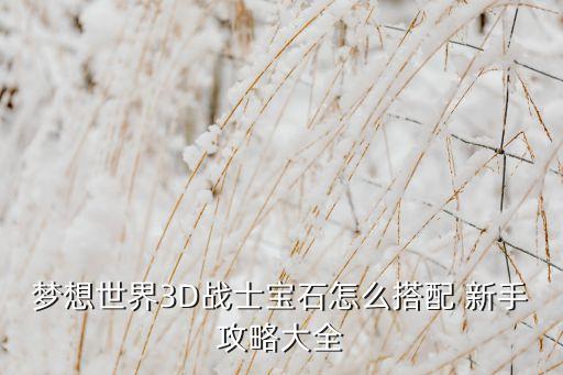 梦想世界3D战士宝石怎么搭配 新手攻略大全