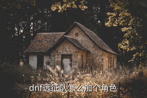 dnf远征队怎么加个角色