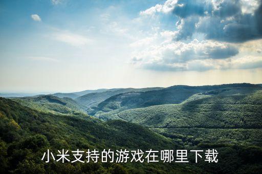 小米支持的游戏在哪里下载