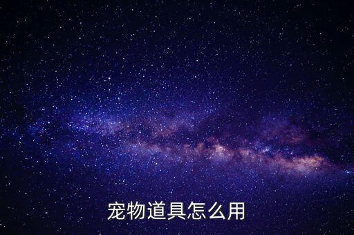 大唐双龙传手游宠物怎么用，宠物道具怎么用