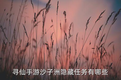 寻仙手游沙子洲隐藏任务有哪些