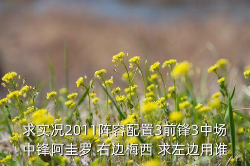 求实况2011阵容配置3前锋3中场中锋阿圭罗 右边梅西 求左边用谁