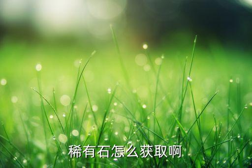 方舟手游稀有石头怎么找，方舟生存进化石头怎么弄 游戏中石头在哪获得