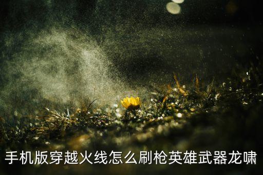 手机版穿越火线怎么刷枪英雄武器龙啸