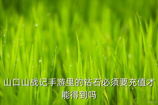 山口山战记手游里的钻石必须要充值才能得到吗