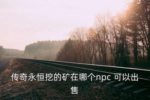 传奇永恒挖的矿在哪个npc 可以出售