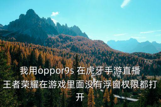 我用oppor9s 在虎牙手游直播王者荣耀在游戏里面没有浮窗权限都打开