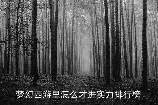 梦幻西游里怎么才进实力排行榜