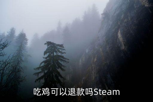 吃鸡可以退款吗Steam