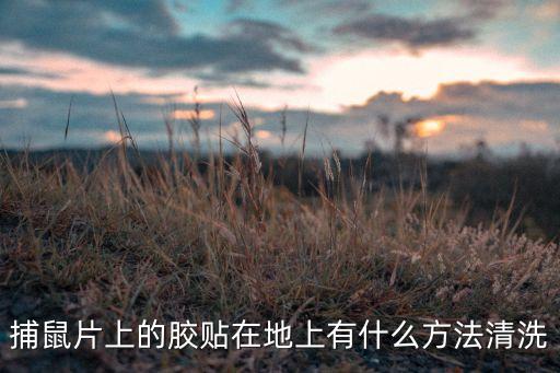 捕鼠片上的胶贴在地上有什么方法清洗