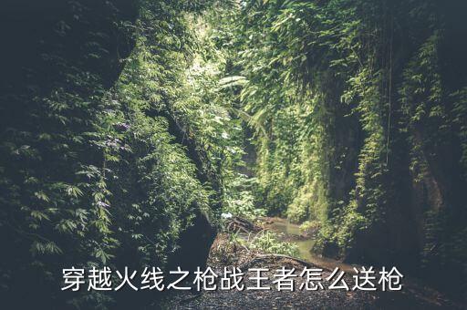 cf手游怎么赠送仓库的武器，CF手游版如何送好友仓库里的枪